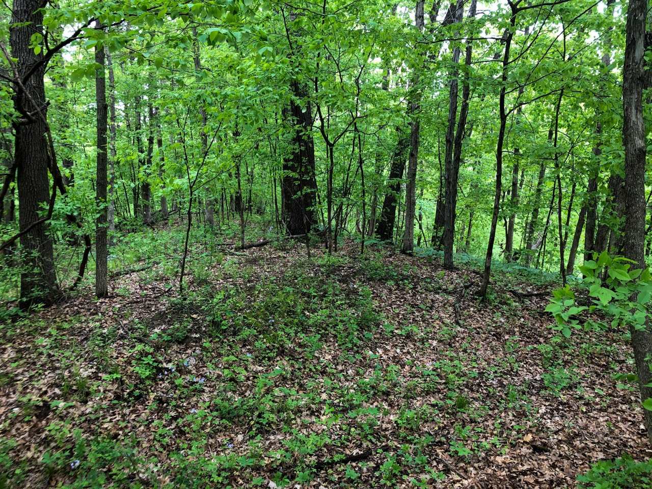 18284 Freeman Mine Road Littleton, IL 61452 - Photo 12 of 43