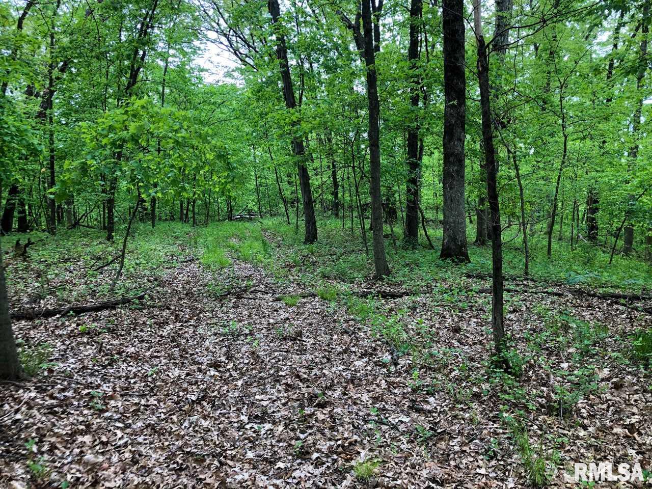 18284 Freeman Mine Road Littleton, IL 61452 - Photo 13 of 43
