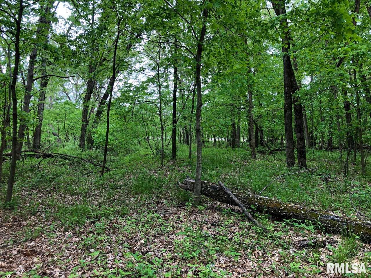 18284 Freeman Mine Road Littleton, IL 61452 - Photo 14 of 43