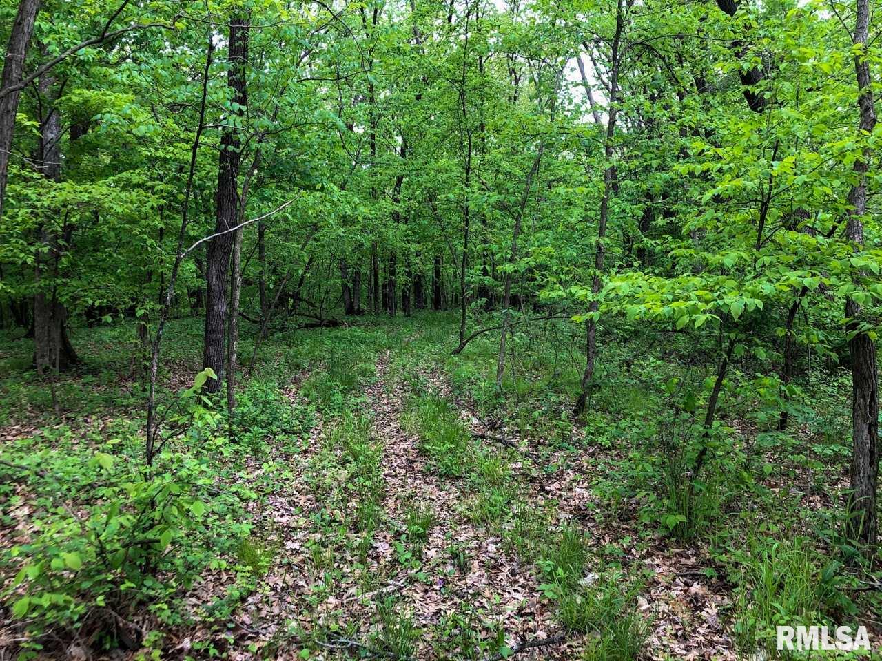 18284 Freeman Mine Road Littleton, IL 61452 - Photo 15 of 43