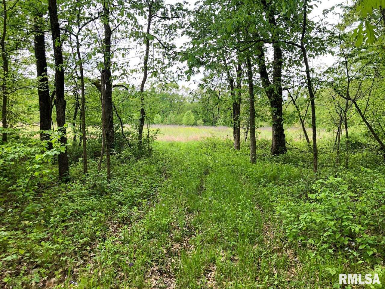 18284 Freeman Mine Road Littleton, IL 61452 - Photo 16 of 43