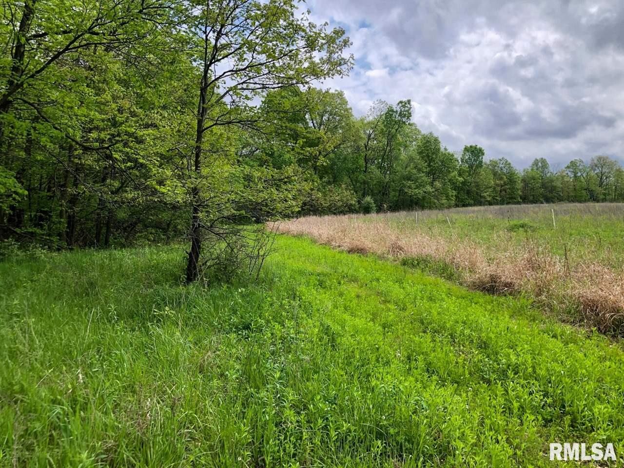 18284 Freeman Mine Road Littleton, IL 61452 - Photo 17 of 43