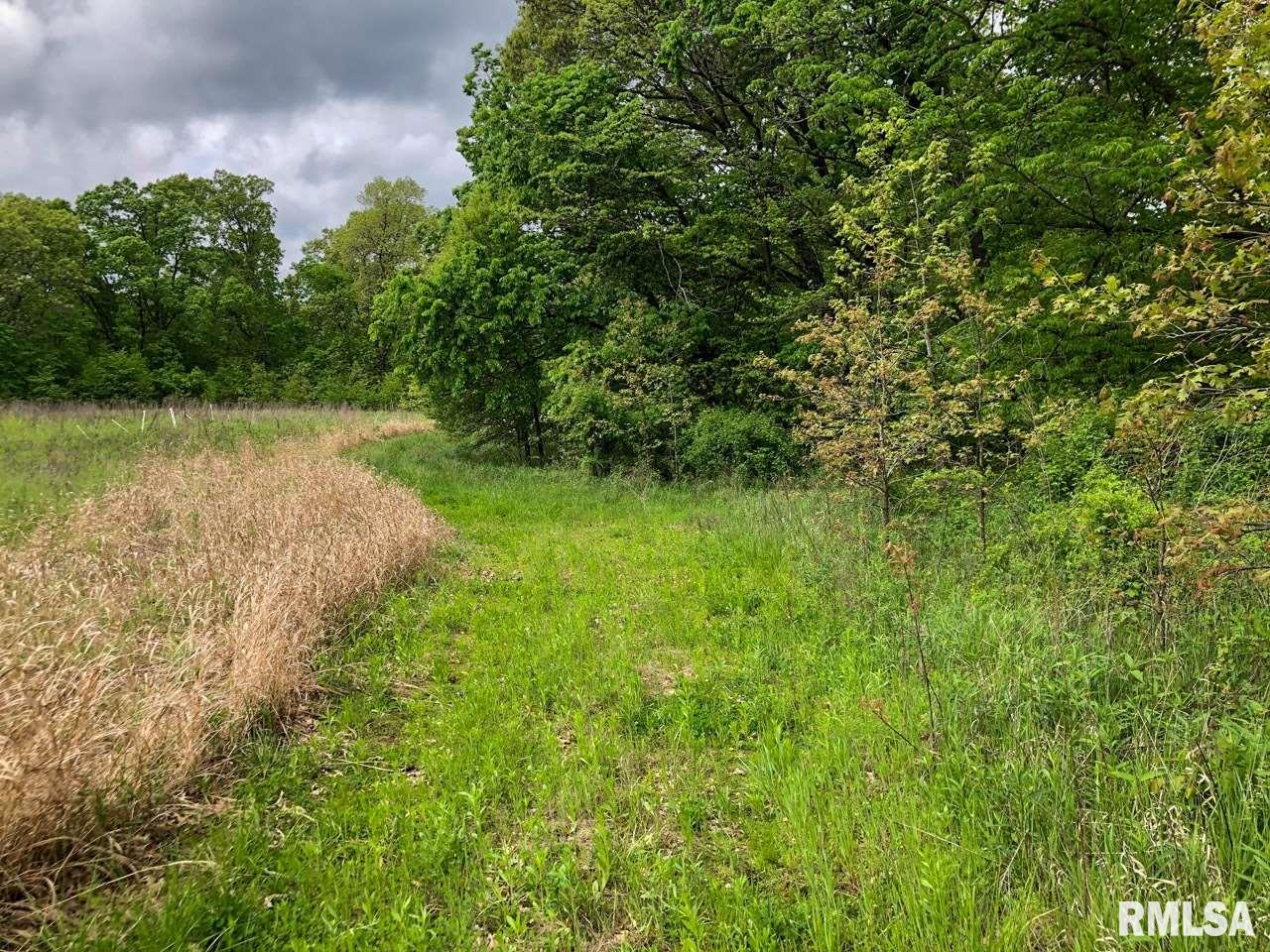 18284 Freeman Mine Road Littleton, IL 61452 - Photo 18 of 43