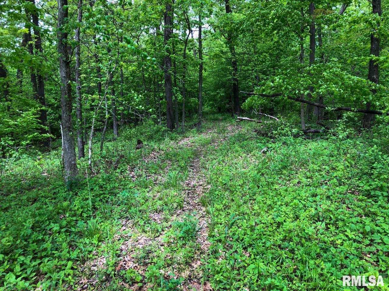 18284 Freeman Mine Road Littleton, IL 61452 - Photo 19 of 43