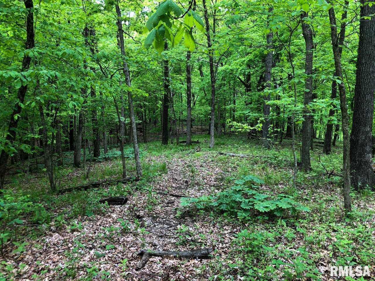 18284 Freeman Mine Road Littleton, IL 61452 - Photo 20 of 43