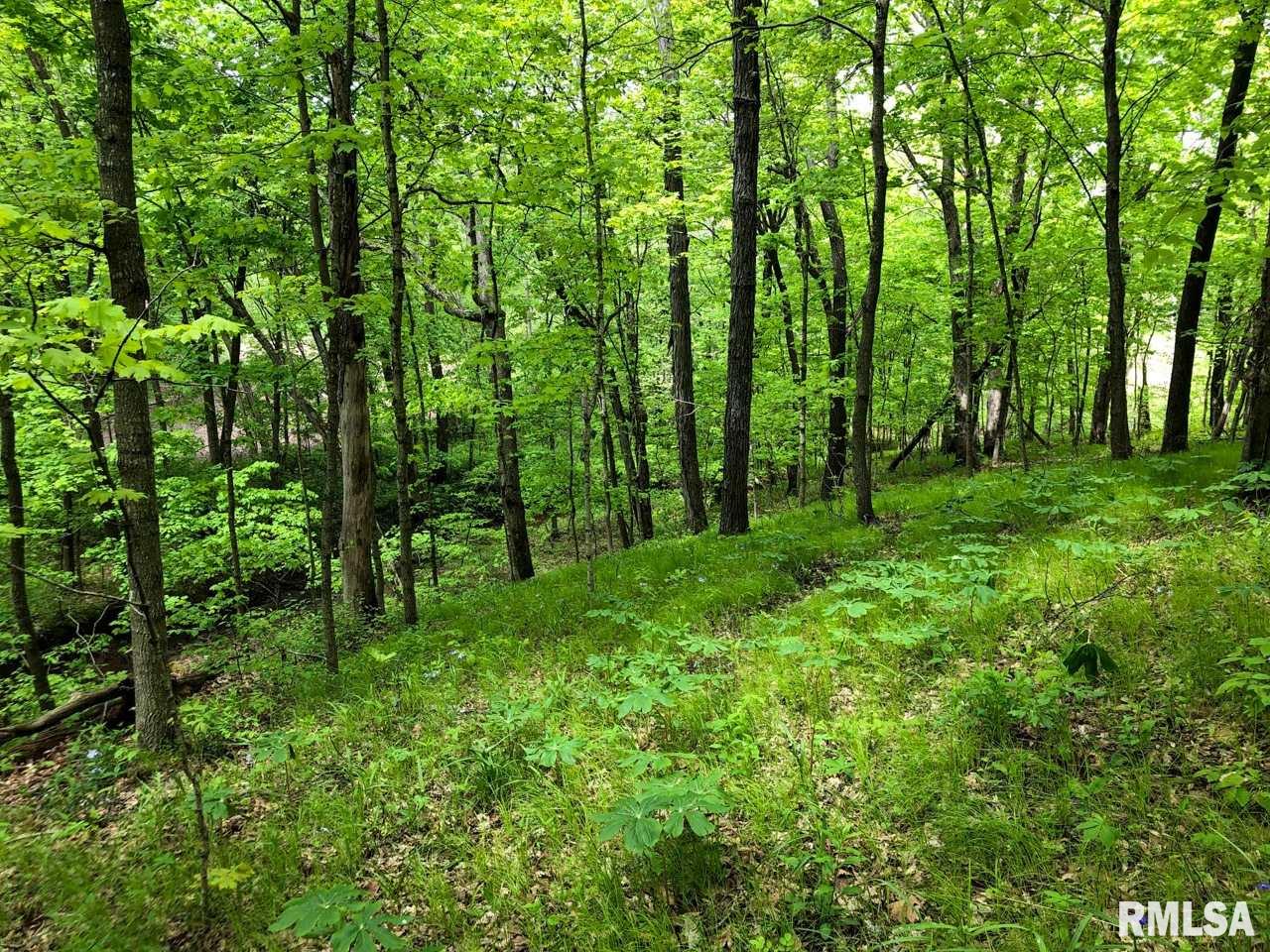 18284 Freeman Mine Road Littleton, IL 61452 - Photo 21 of 43