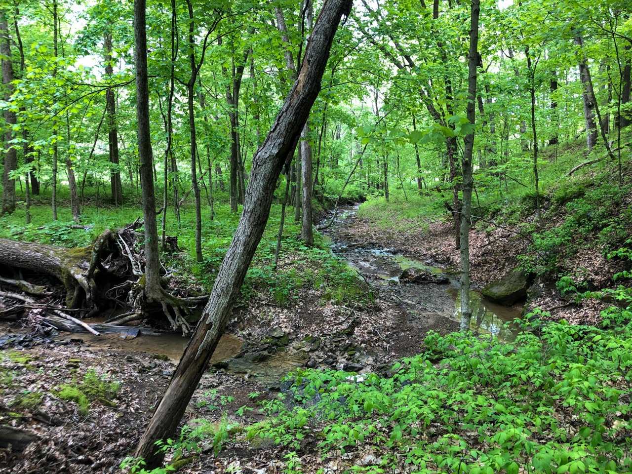 18284 Freeman Mine Road Littleton, IL 61452 - Photo 23 of 43