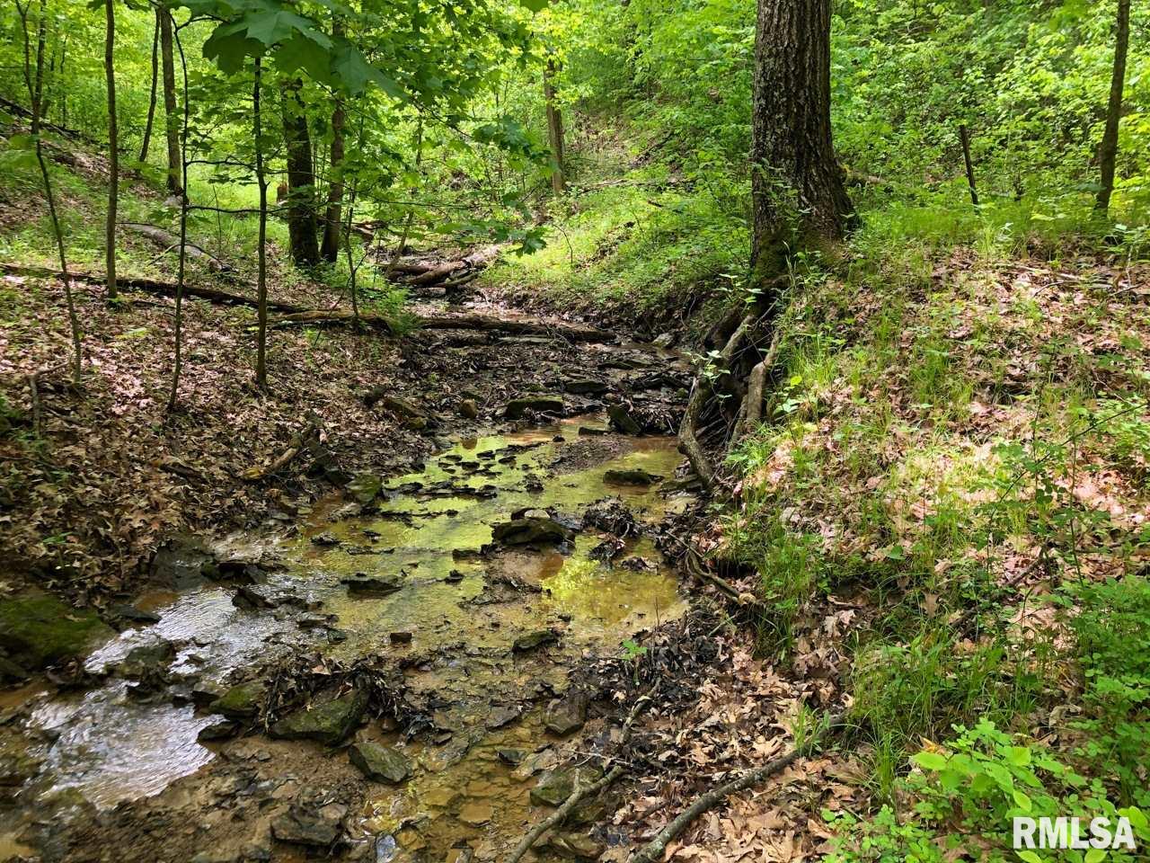 18284 Freeman Mine Road Littleton, IL 61452 - Photo 24 of 43
