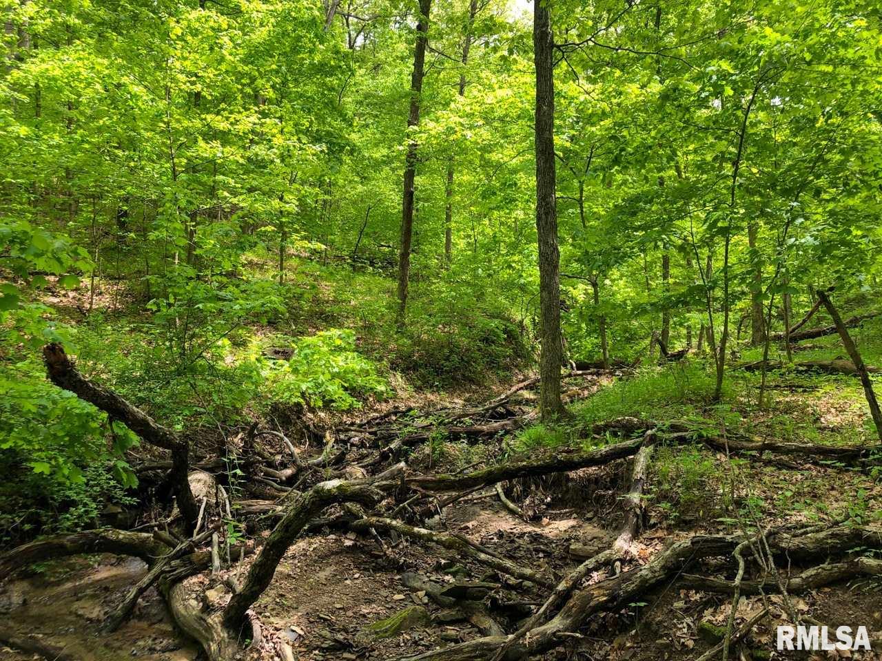 18284 Freeman Mine Road Littleton, IL 61452 - Photo 25 of 43
