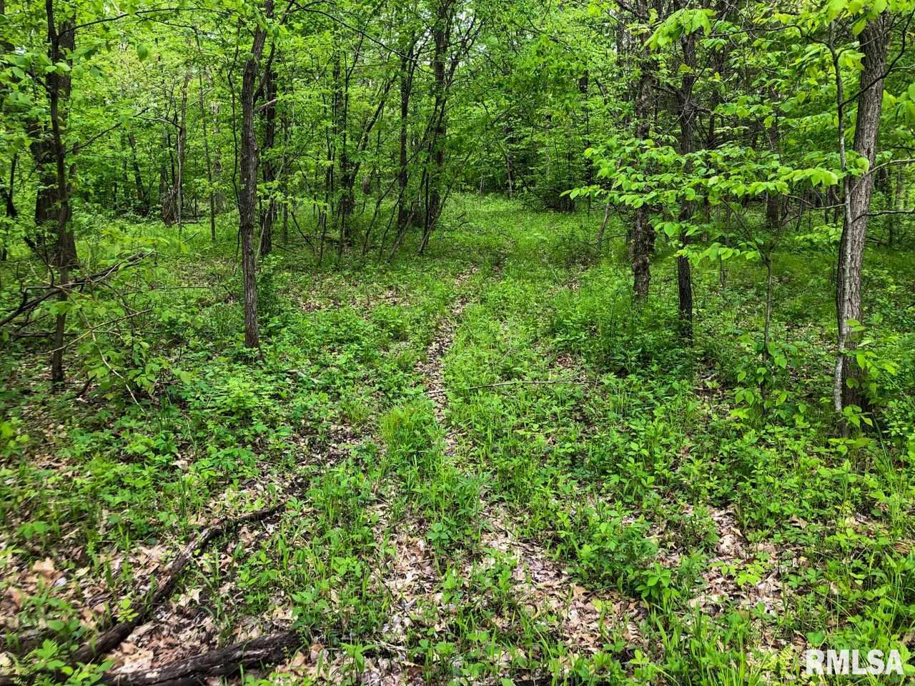 18284 Freeman Mine Road Littleton, IL 61452 - Photo 26 of 43