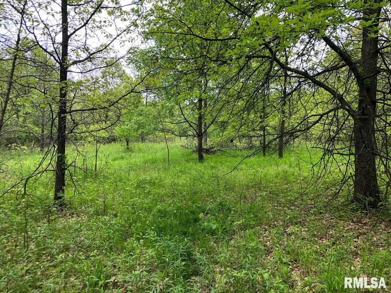 18284 Freeman Mine Road Littleton, IL 61452 - Photo 27 of 43