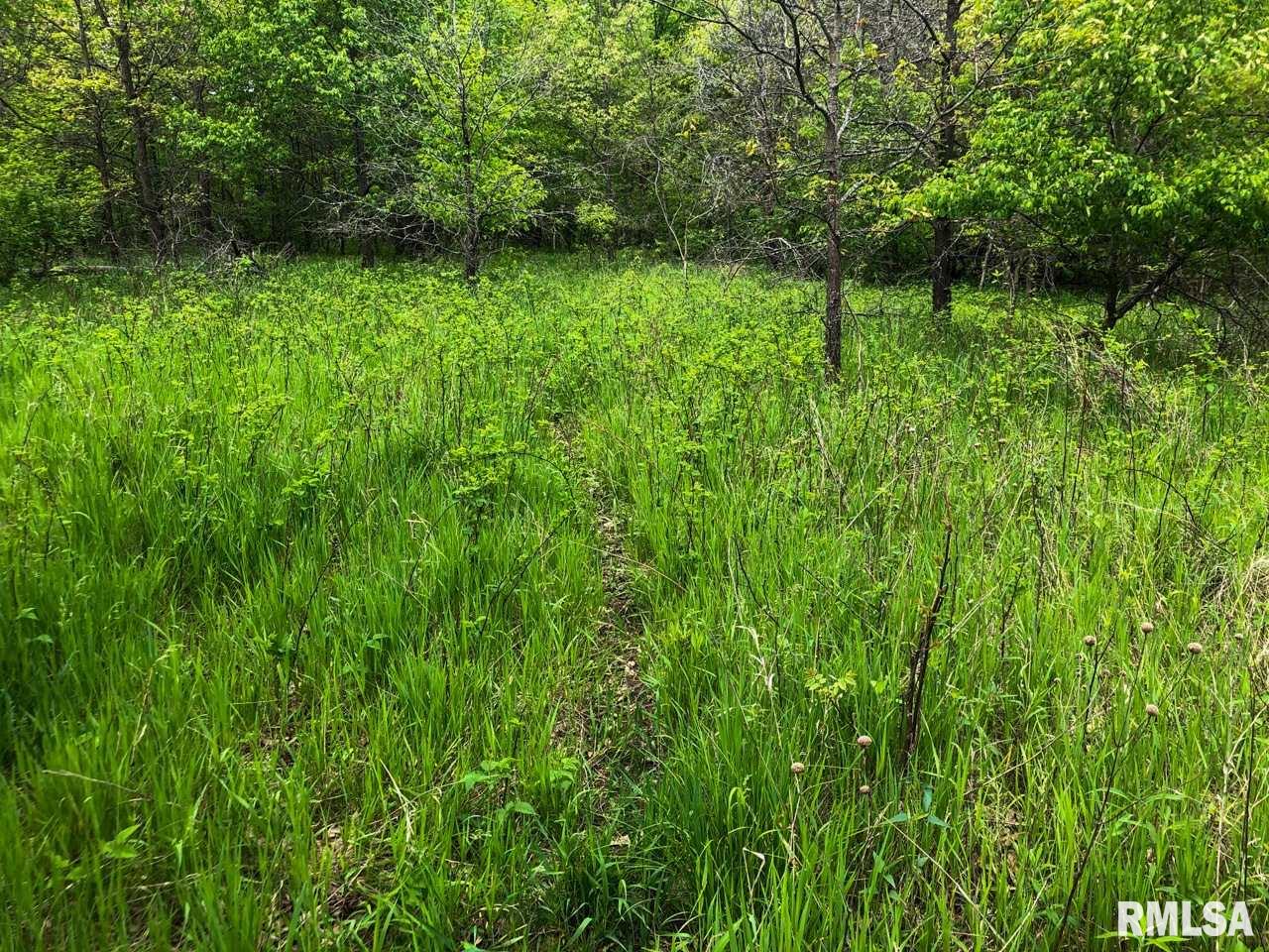 18284 Freeman Mine Road Littleton, IL 61452 - Photo 28 of 43