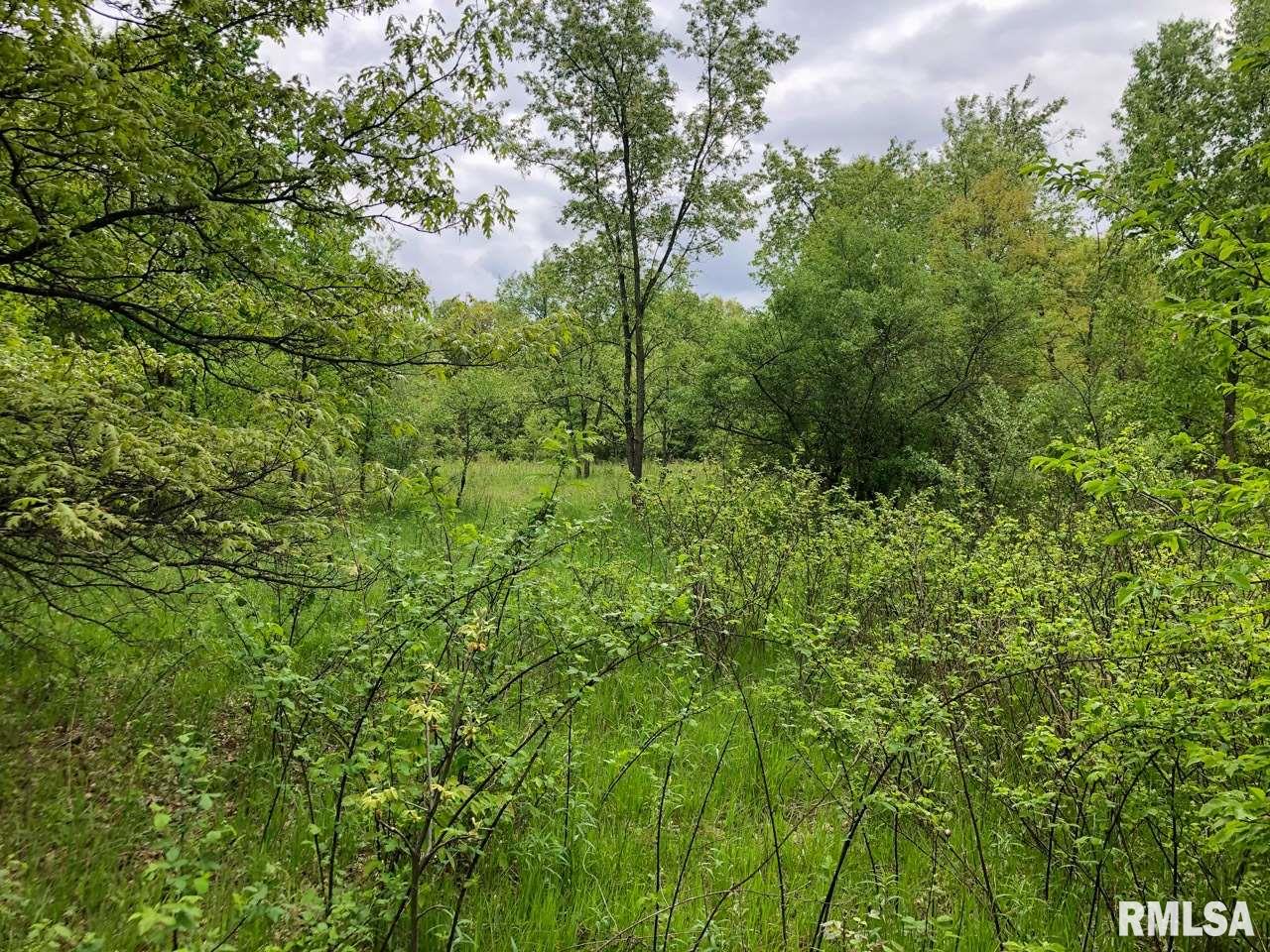 18284 Freeman Mine Road Littleton, IL 61452 - Photo 29 of 43