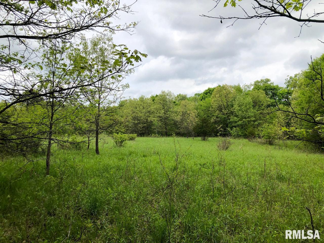 18284 Freeman Mine Road Littleton, IL 61452 - Photo 32 of 43