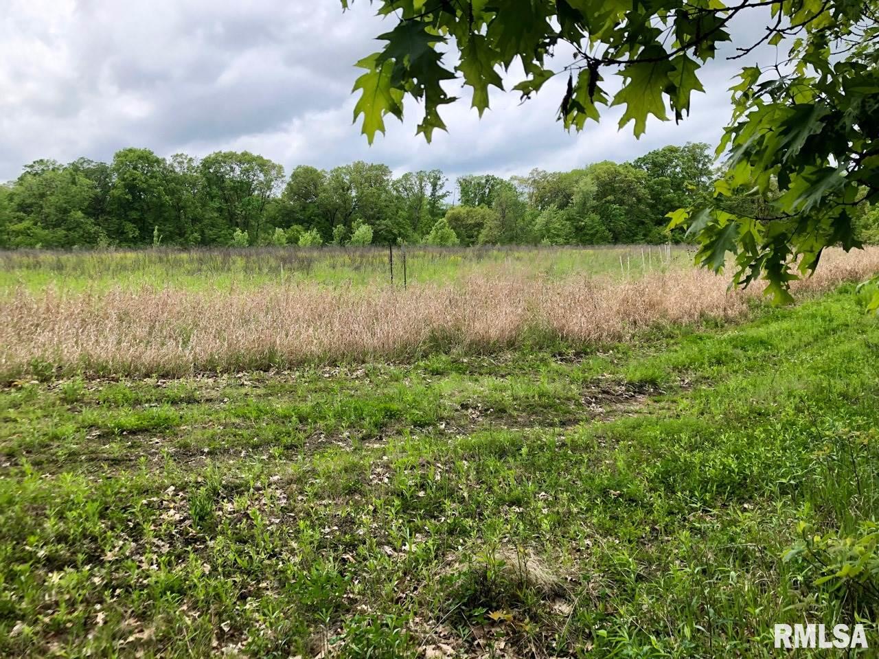 18284 Freeman Mine Road Littleton, IL 61452 - Photo 10 of 43