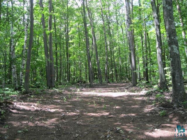 0 Oak Ridge Heights Road Bayfield, WI 54814 - Photo 4 of 30 Gallery Image 4
