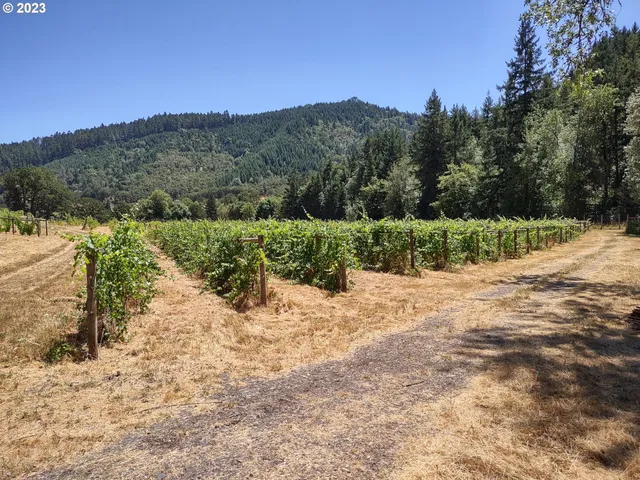 $830,000 | 375 Porter Creek Road, Winston, OR 97496