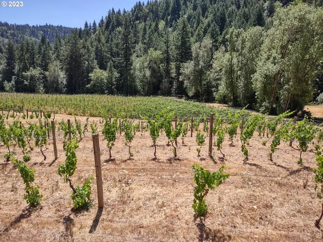 $830,000 | 375 Porter Creek Road, Winston, OR 97496