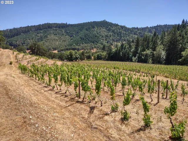 $830,000 | 375 Porter Creek Road, Winston, OR 97496