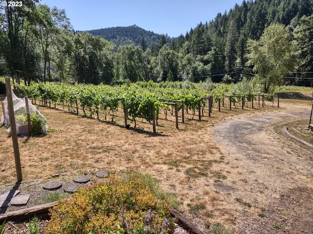 $830,000 | 375 Porter Creek Road, Winston, OR 97496