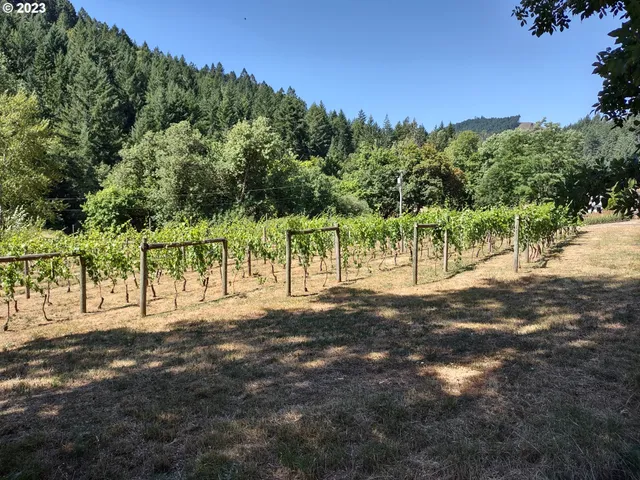 $830,000 | 375 Porter Creek Road, Winston, OR 97496