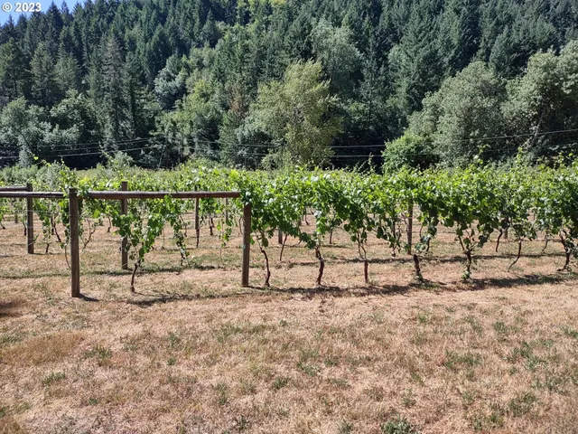 $830,000 | 375 Porter Creek Road, Winston, OR 97496