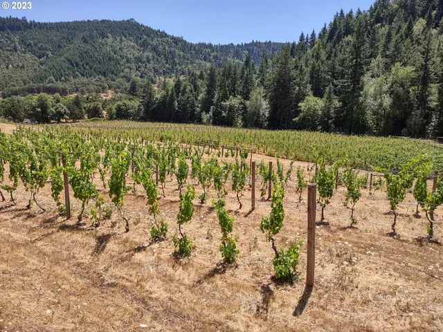 $830,000 | 375 Porter Creek Road, Winston, OR 97496