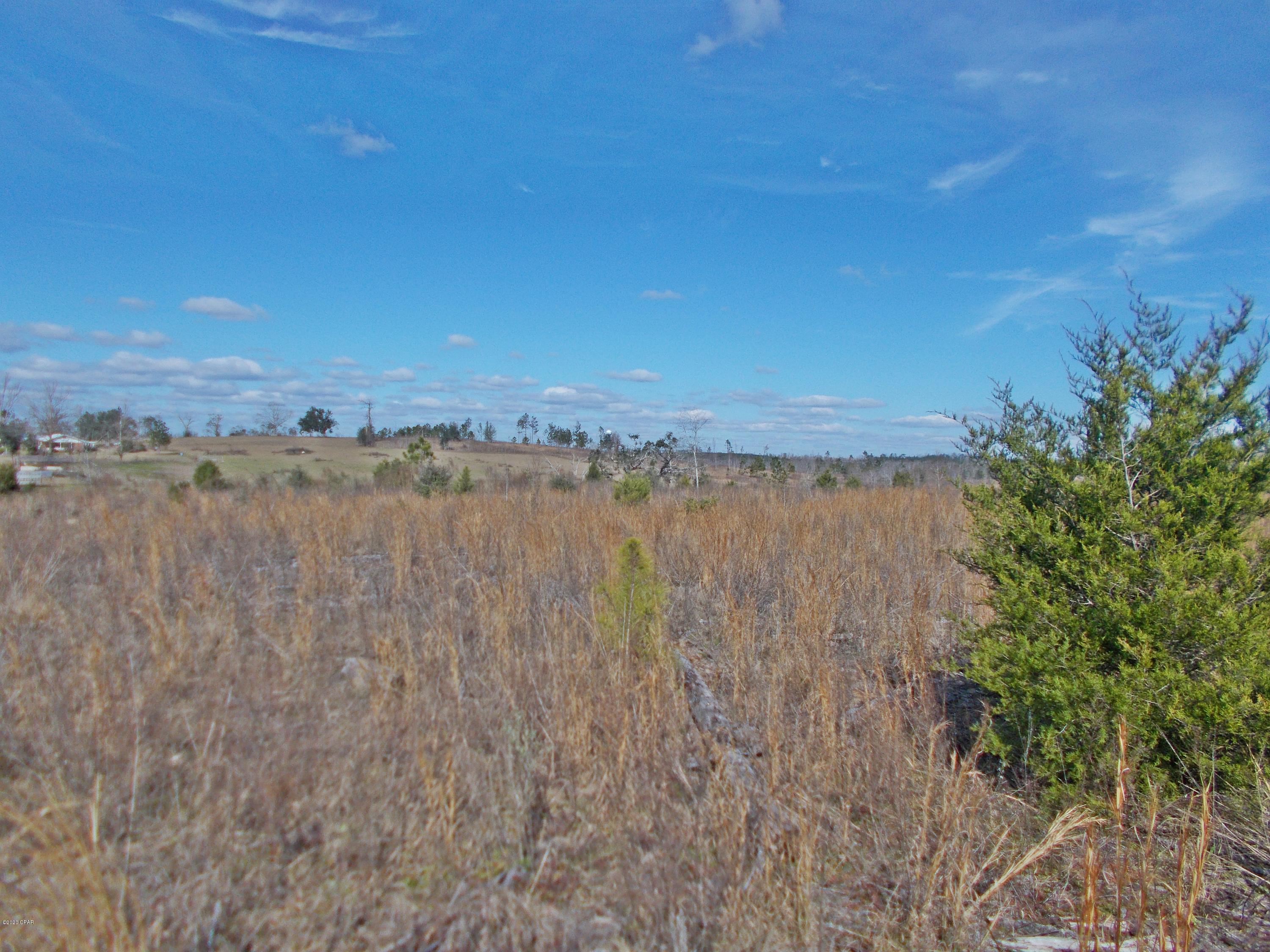0 South 69th Highway Grand Ridge, FL 32442 - Photo 1 of 4 Gallery Image 1