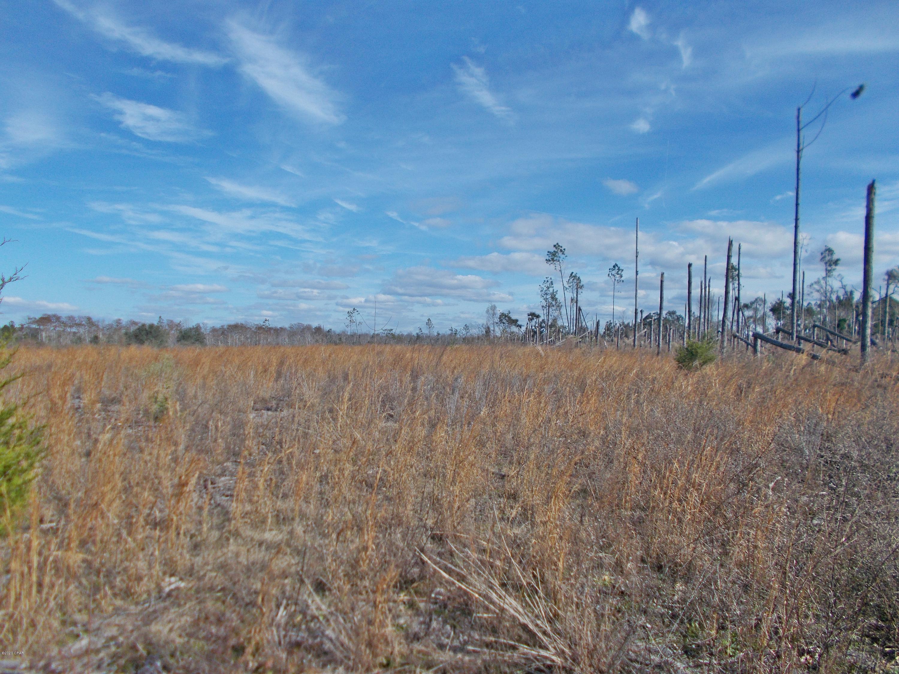 0 South 69th Highway Grand Ridge, FL 32442 - Photo 2 of 4 Gallery Image 2