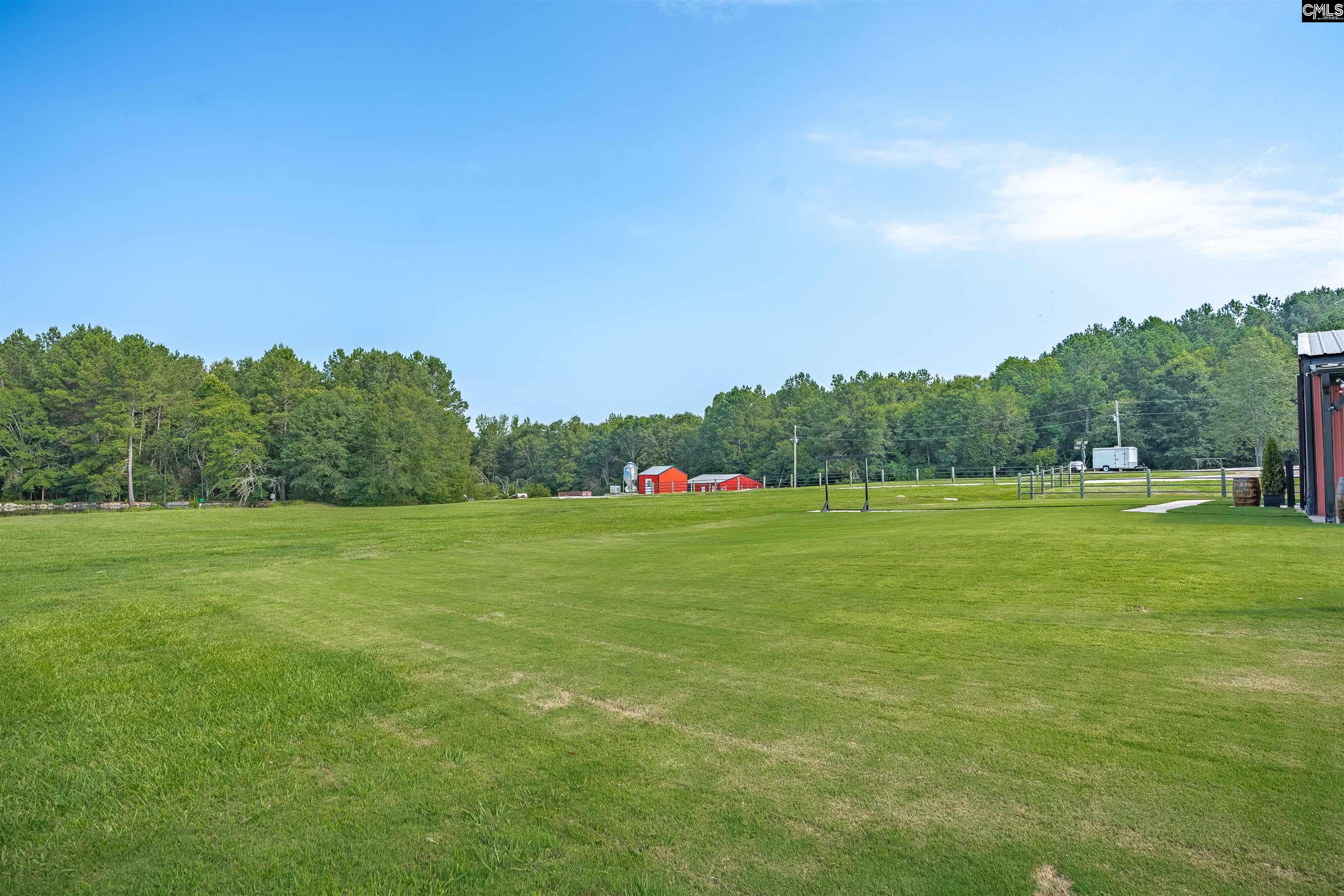 637 Belfast Road Newberry, SC 29108 - Photo 39 of 74