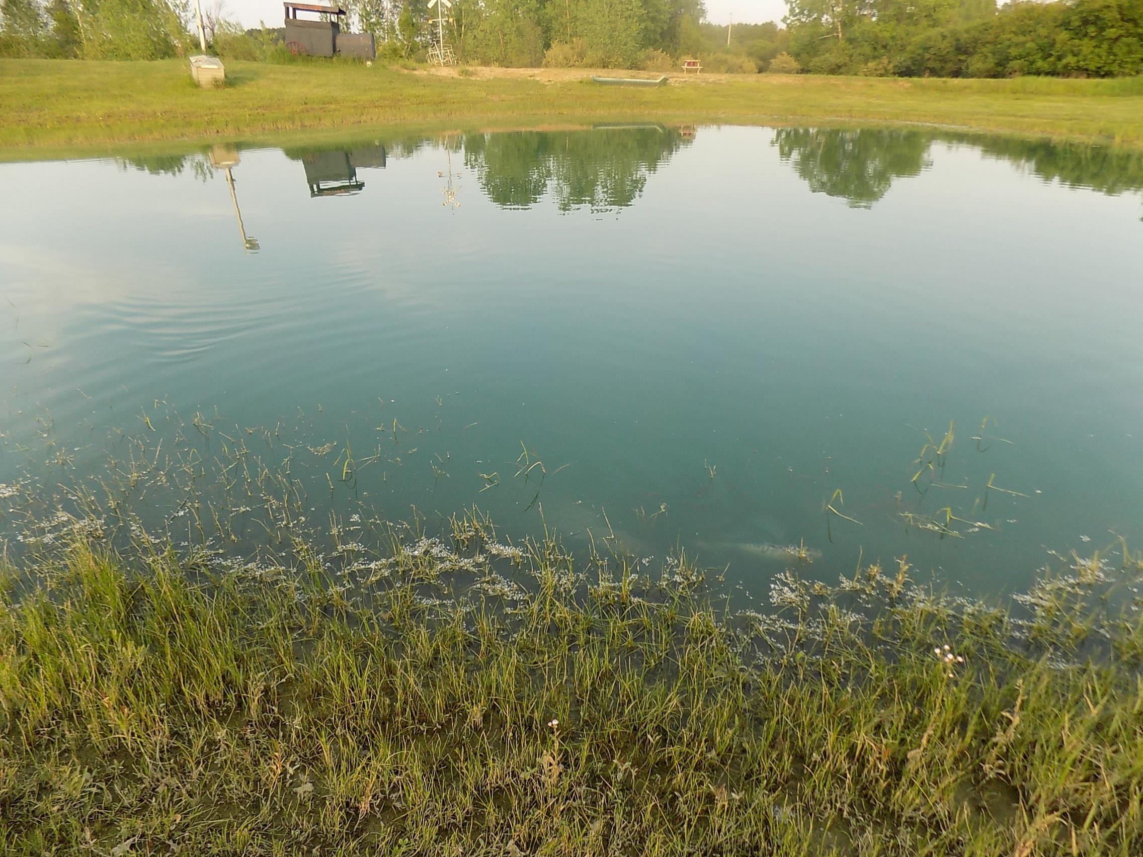 2056 West Ridge Road Gladwin, MI 48624 - Photo 60 of 71