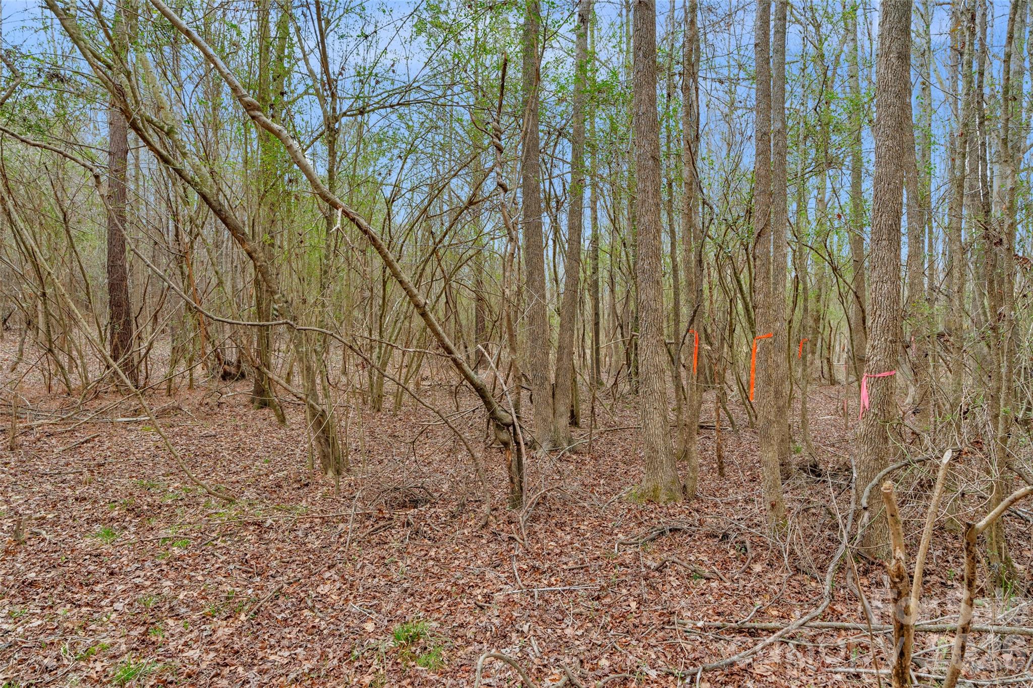 0 Coldstream Road Heath Springs, SC 29058 - Photo 23 of 31 Gallery Image 23