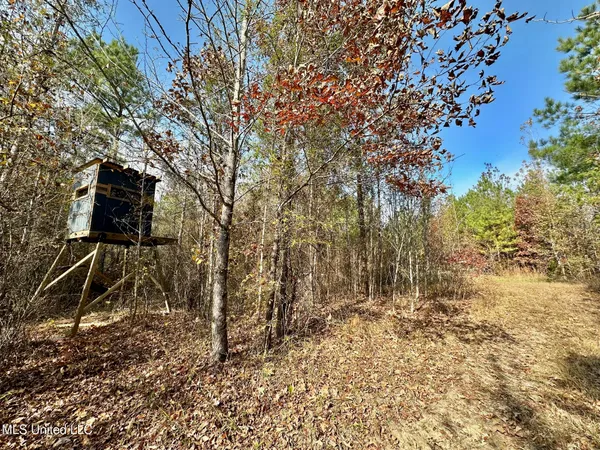 $76,000 | 3 County Road 3122, French Camp, MS 39745