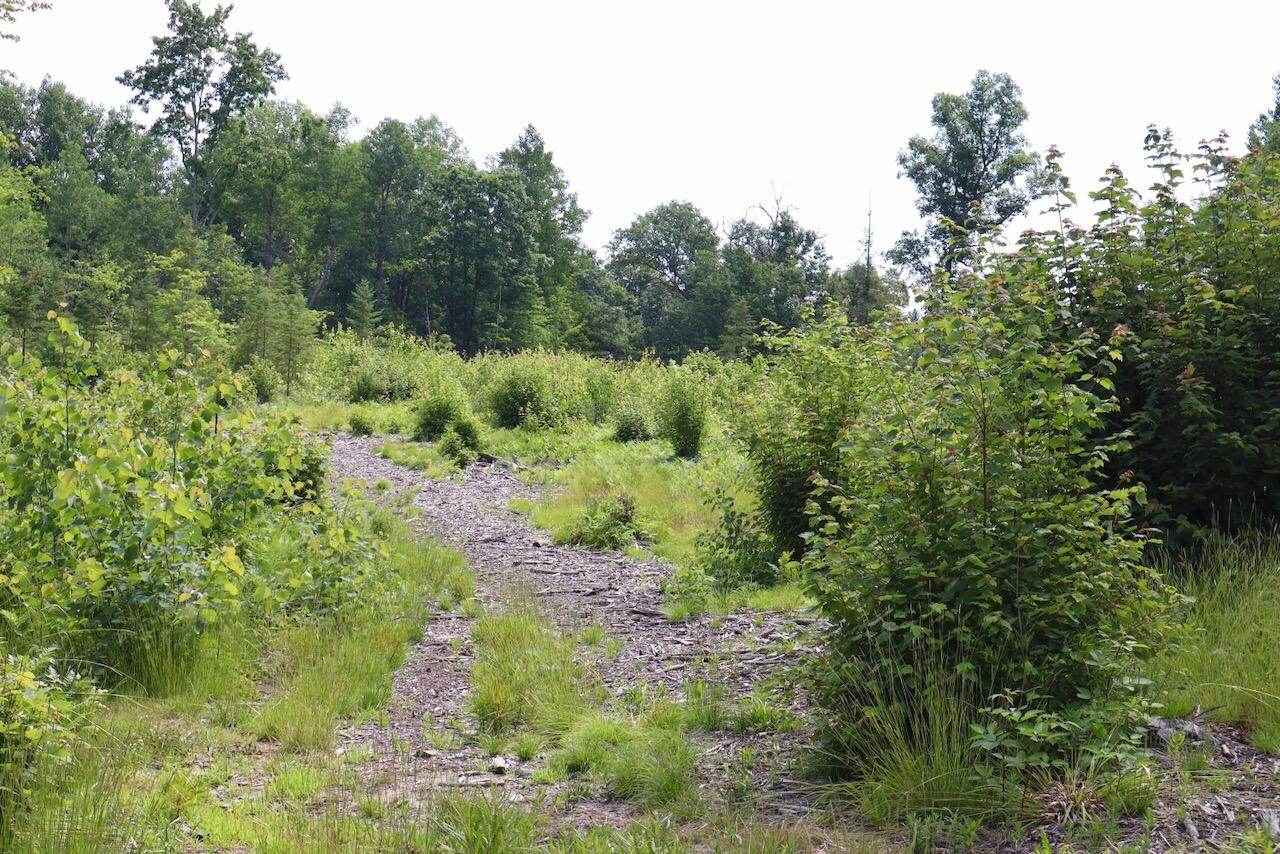 20-ac West Clarence Road Harrison, MI 48625 - Photo 27 of 32 028