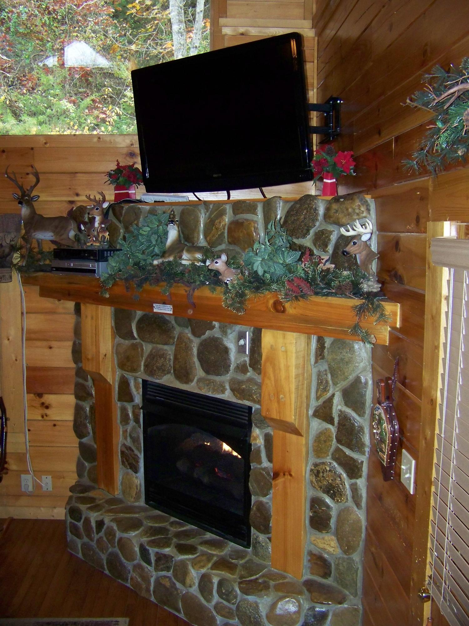 1980 Goose Gap Road Sevierville, TN 37876 - Photo 17 of 22 100_6259