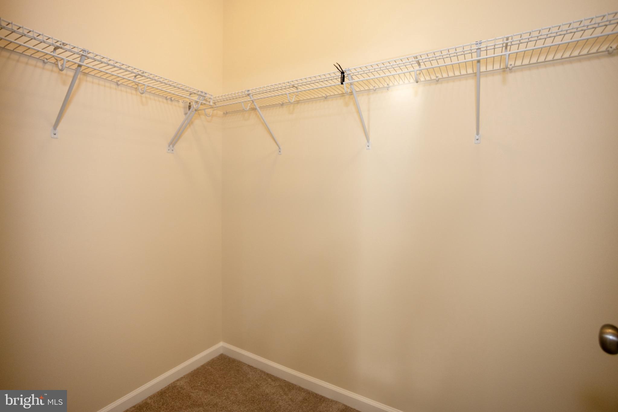 8941 Quarry Road Manassas, VA 20110 - Photo 26 of 44 Primary Walk in closet on 2nd Floor