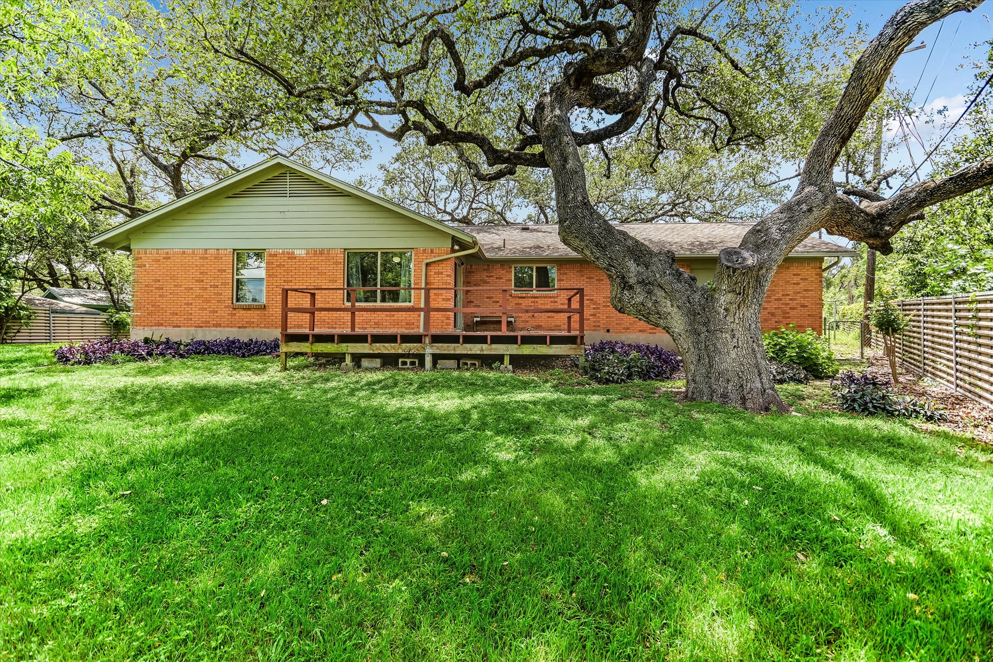 502 Sunset Circle Austin, TX 78704 - Photo 19 of 27 Spacious backyard featuring a large mature live oak tree providing natural shade