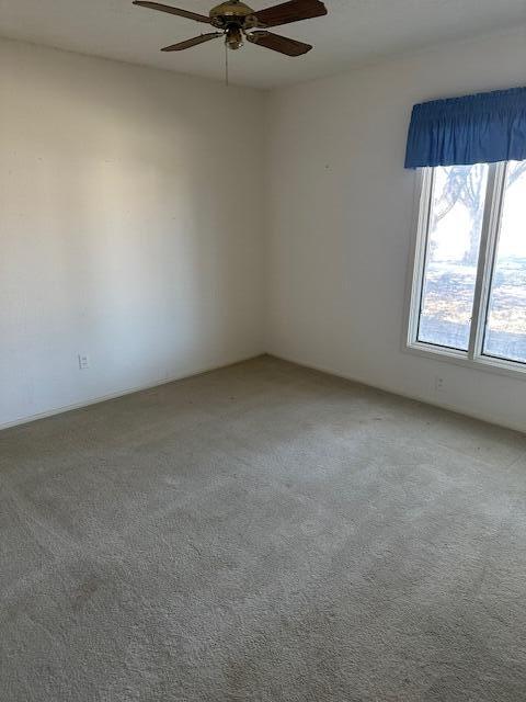 3303 75th Street Lubbock, TX 79423 - Photo 5 of 20 IMG_8314