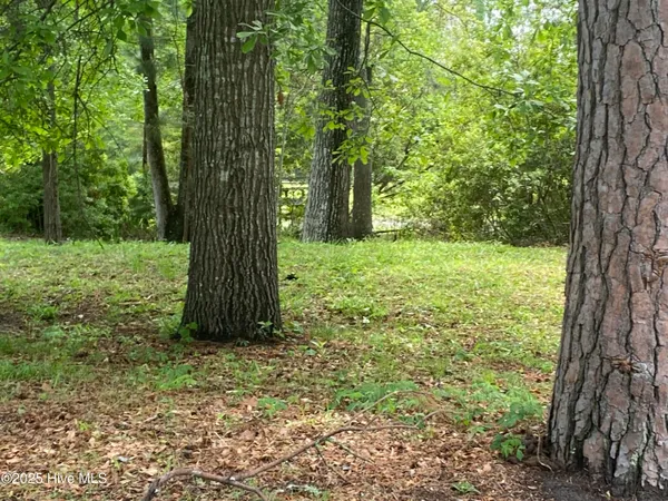 $59,900 | 165 Hawks Pond Road, New Bern, NC 28562