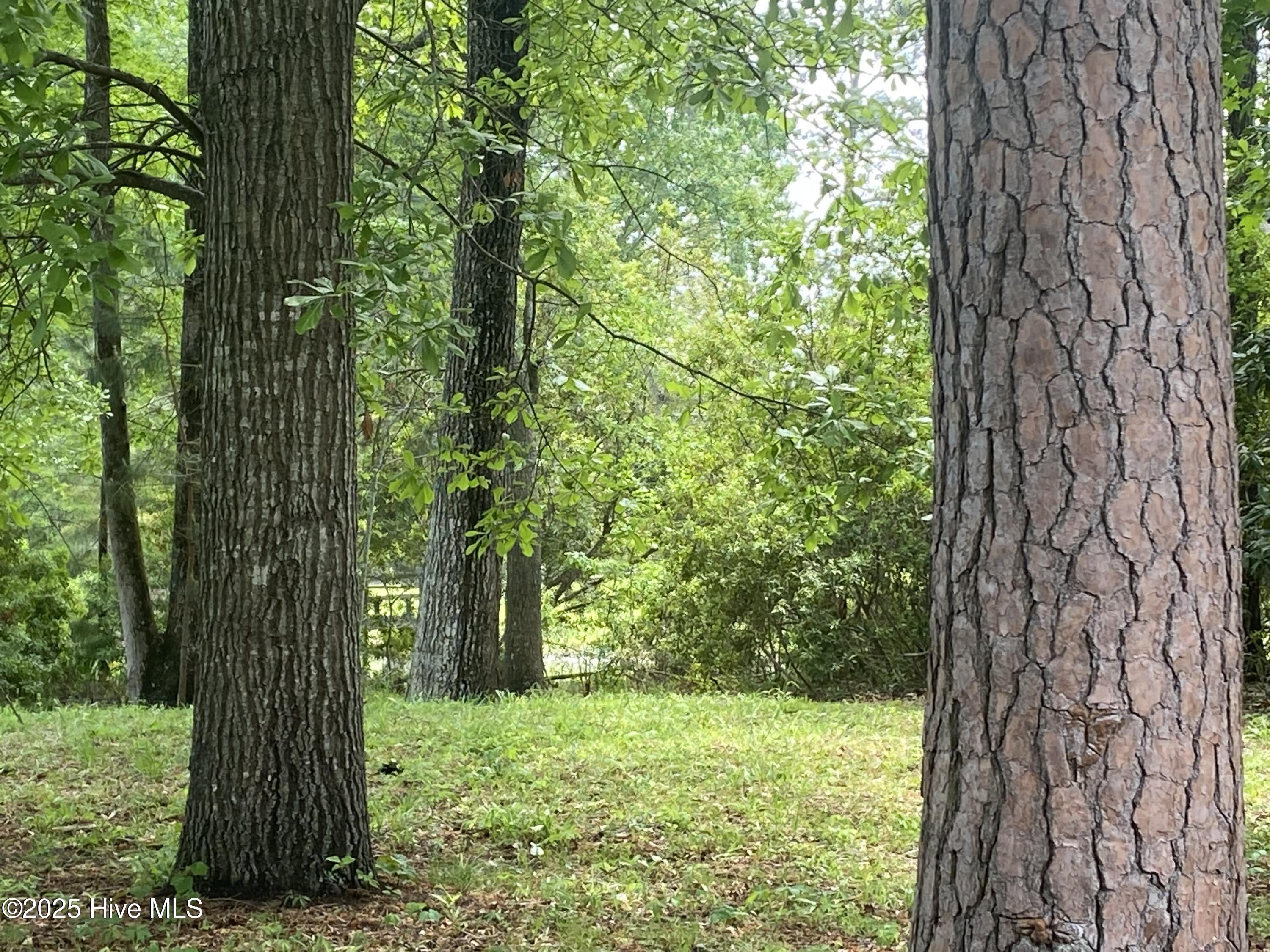 165 Hawks Pond Road New Bern, NC 28562 - Photo 3 of 6 tempImage427MCq