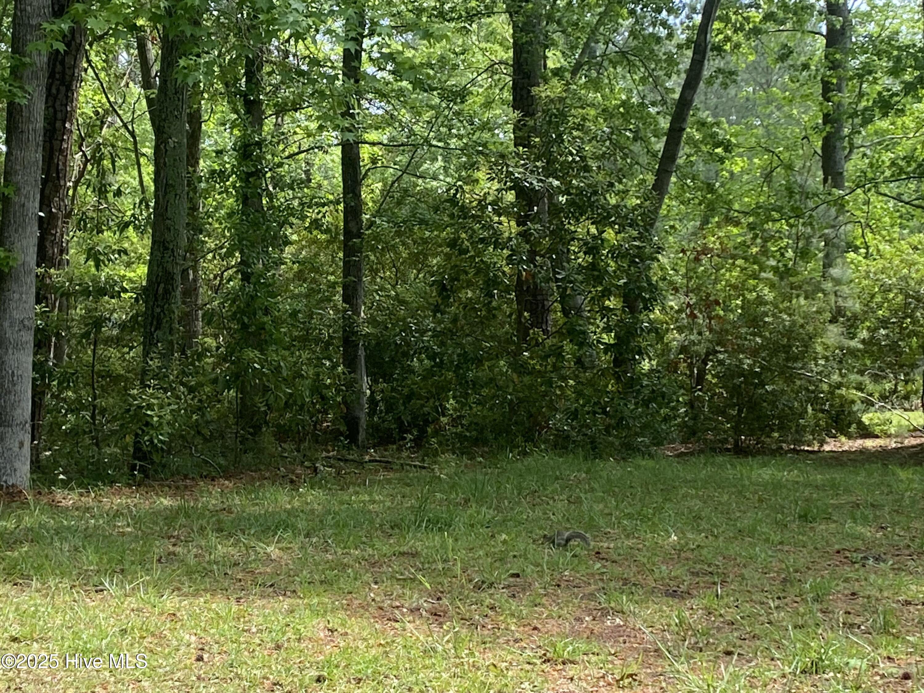 165 Hawks Pond Road New Bern, NC 28562 - Photo 4 of 6 tempImagelTbz5z