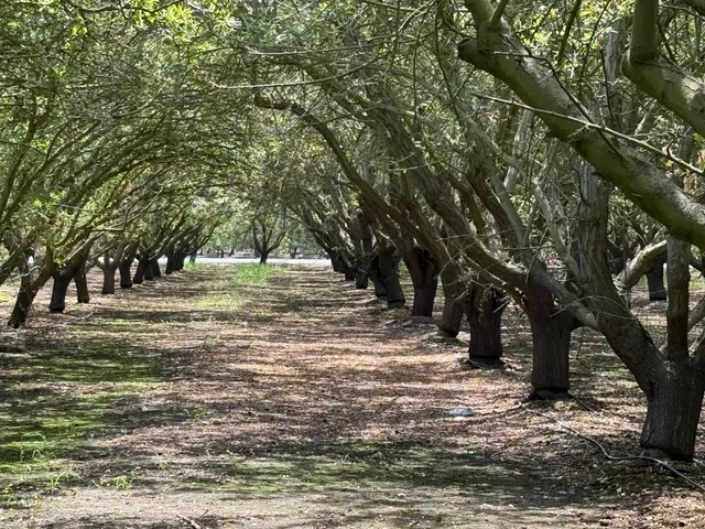 a view of road with trees
