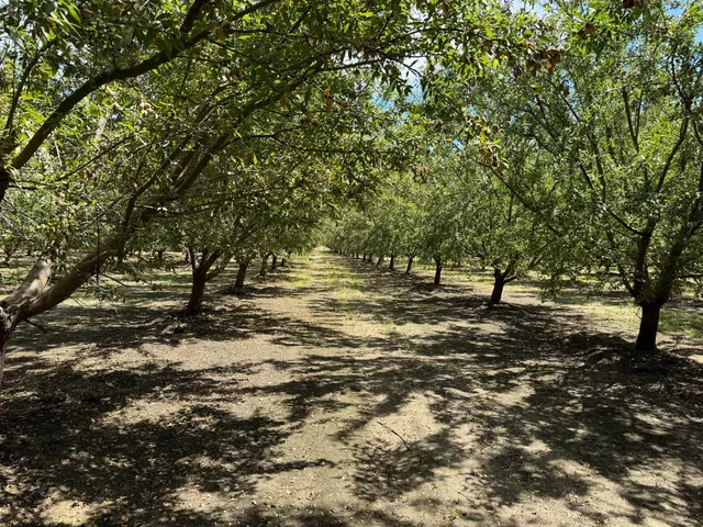 a view of outdoor space with trees