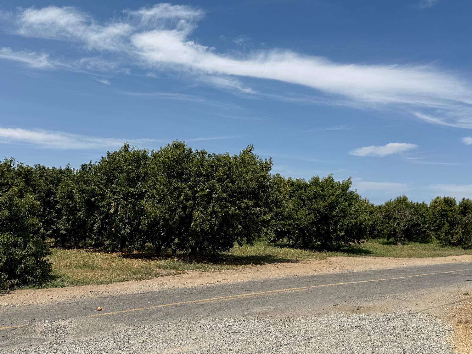 5820 Yosemite Boulevard Modesto, CA 95357 - Photo 2 of 18 a view of a terrace