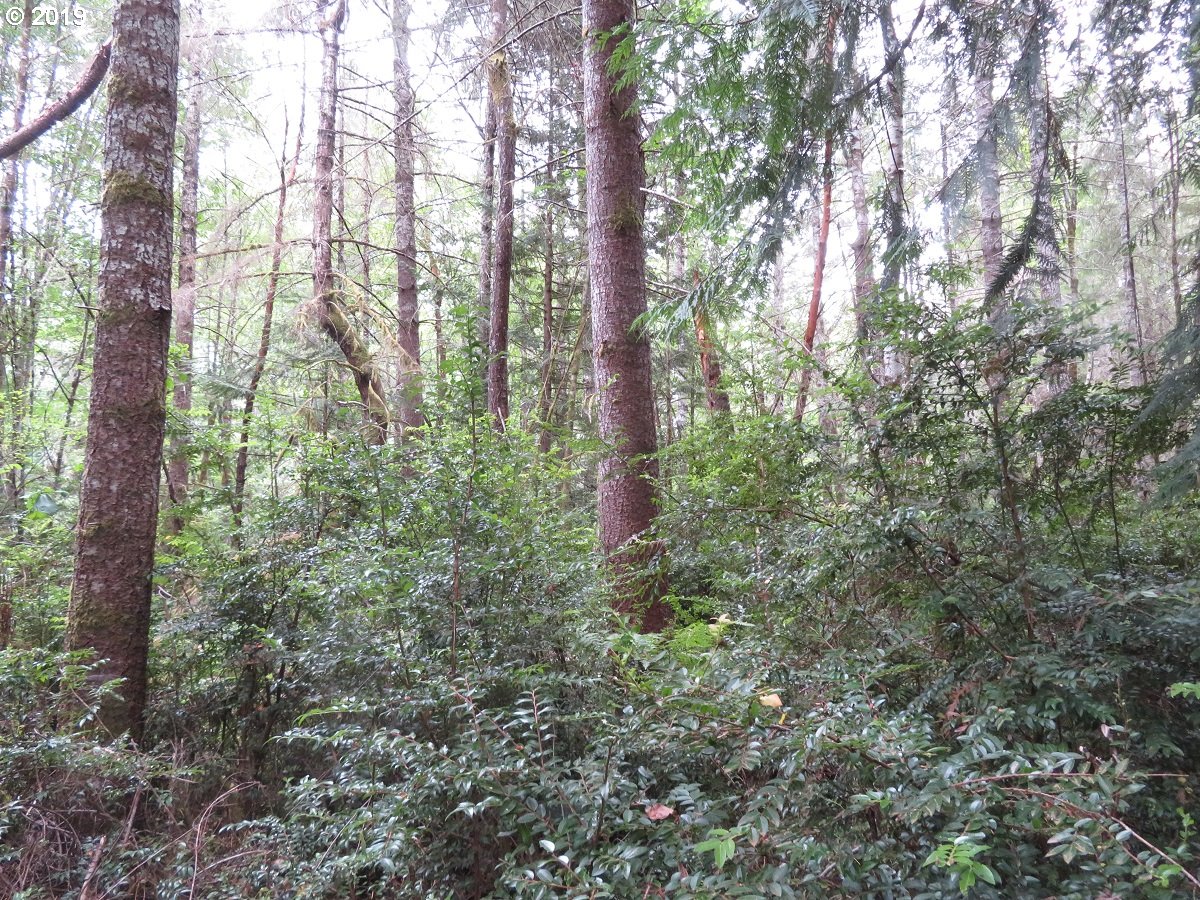 East Solbakk Veinen Road, Unit 4 Shelton, WA 98584 - Photo 14 of 27 Gallery Image 14