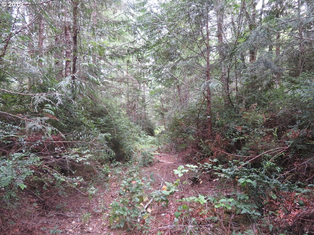 East Solbakk Veinen Road, Unit 4 Shelton, WA 98584 - Photo 22 of 27 Gallery Image 22