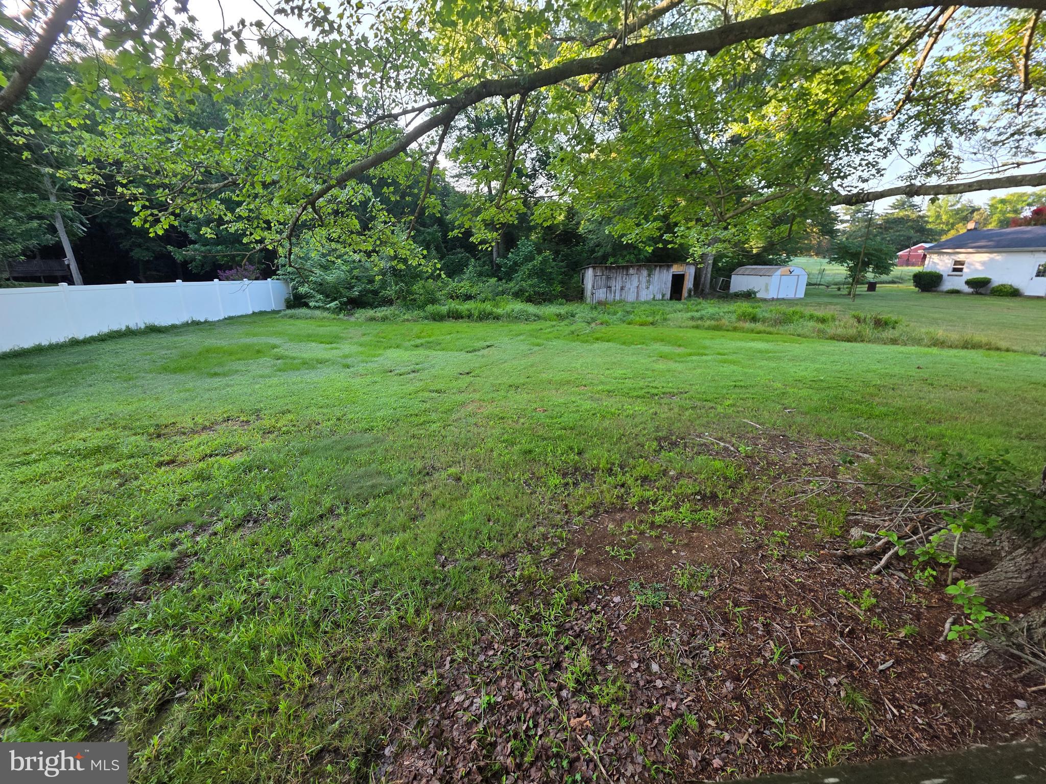 2590 Hallowing Point Road Prince Frederick, MD 20678 - Photo 8 of 10 a view of a tree in a yard