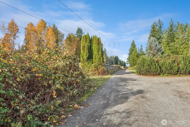 a view of a yard with a house