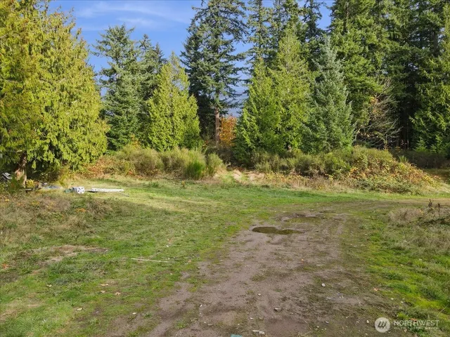 a view of a field with an trees