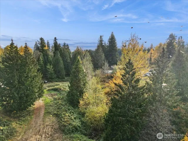 a view of a city with lots of trees